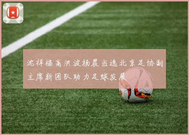 沈祥福高洪波杨晨当选北京足协副主席新团队助力足球发展